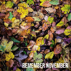 Remember November