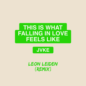this is what falling in love feels like (Leon Laiden Remix)