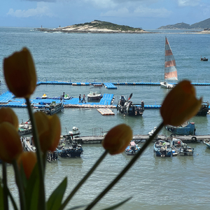 追问缺角的完整