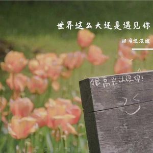 世界这么大还是遇见你