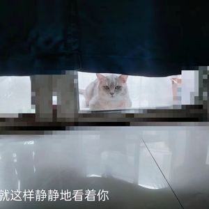 我想去新疆旅游