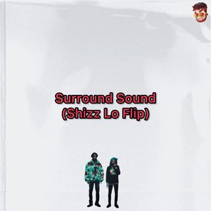 SURROUND SOUND (SHIZZ LO FLIP)