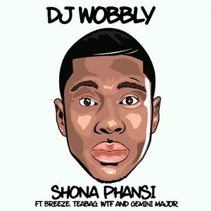 Shona Phansi (feat. WTF, Breeze, Teabag & Gemini)