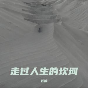 熬过风雪一年又一年