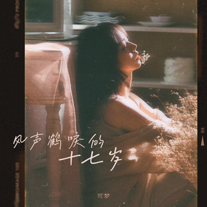 风声鹤唳的十七岁（伴奏）