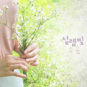 설렘빛 (Seollembit)