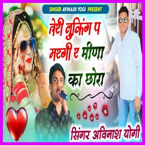 तेरी लुकिंग प मरगी र मीणा का छोरा