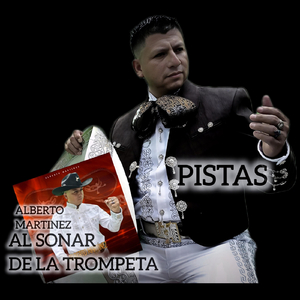 Se Me Canso la Piel (Pista)