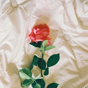 周三的情书（翻自 周三）