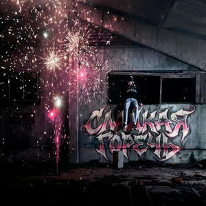 СВОЮ ЛЮБОВЬ