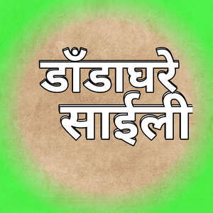 डाँडाघरे साईली