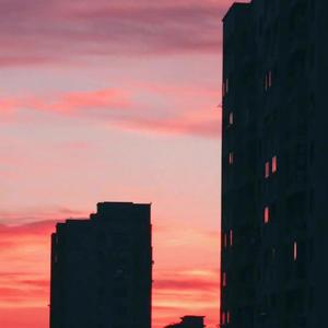 生命是一场梦游（cover：王贰浪）