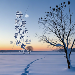 我被遗忘在没有你的冬