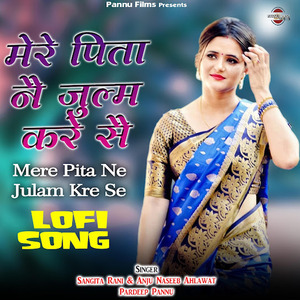 Mere Pita Ne Julam Kre Se (Lofi Remix)