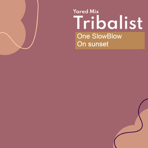 One SlowBlow On sunset (Yared Radio Remix)