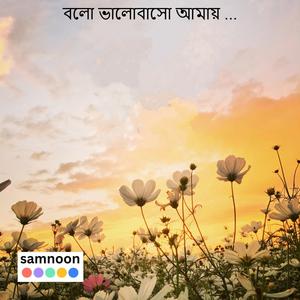 বলো ভালোবাসো আমায় ...