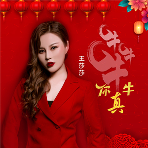 牛牛牛你真牛 (Dj何鹏版)