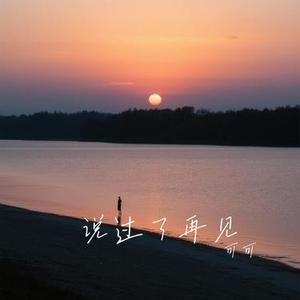 说过了再见 (Cover 赵乃吉)