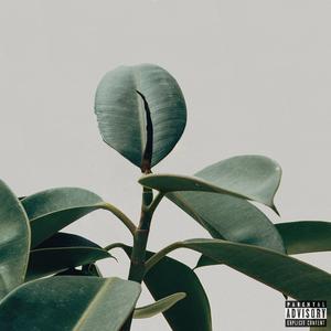 HII-BEAMS (feat. Graye)