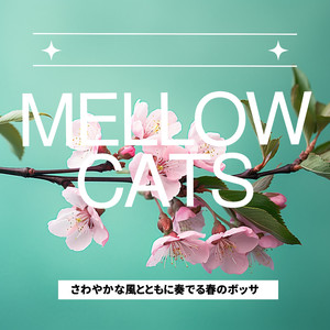 A Waltz with the Morning Mist