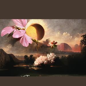 Pandanganku pandanganmu