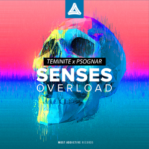 Senses Overload (Original Mix)
