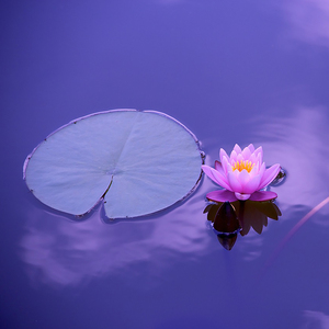 失去后更显珍贵