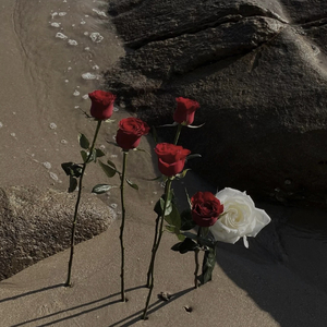 Re-Style-我的Medly (3月 26, 2022).wav（小煜 remix）