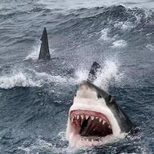 会呼吸的痛-林奇凯（翻唱）