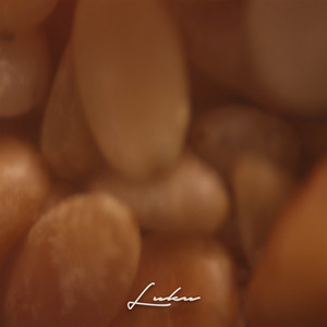 El Que Quiere Quiere