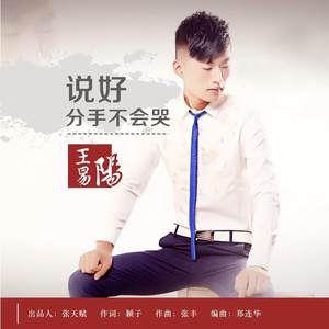 说好分手不会哭 (DjCola.Mix)