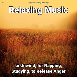 Relaxation Music Pt. 24