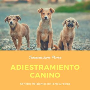 Colores de la Naturaleza