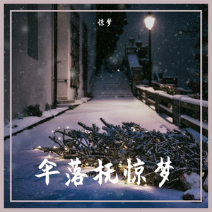 琴师