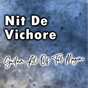 Nit De Vichore