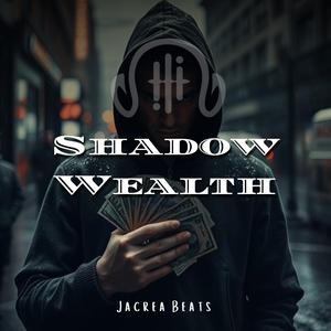 Shadow Wealth
