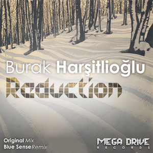Reduction (Blue Sense Remix)