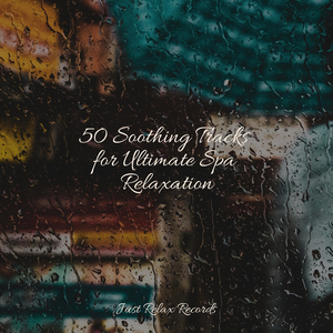 Silver Slumber Serenade