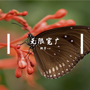 新81