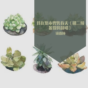 我在集市兜售春天