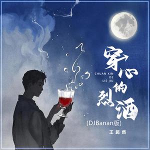 穿心的烈酒 (DJBanan版)