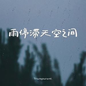 雨停滞天空之间