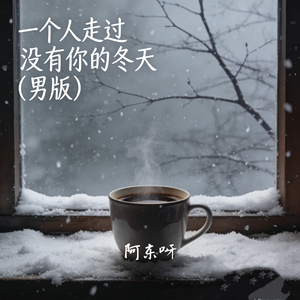 一个人走过没有你的冬天(男版)