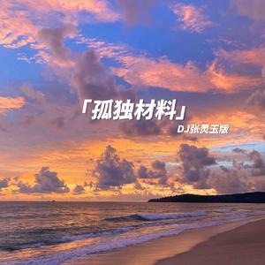 孤独材料（DJ张灵玉版）