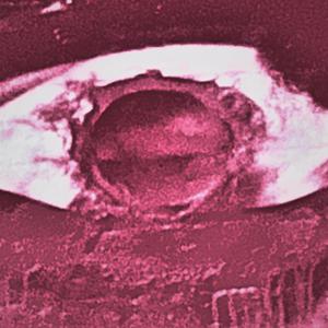 love song for someone