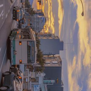 舒伯特玫瑰（翻自蓝心羽）（翻自 蓝心羽）