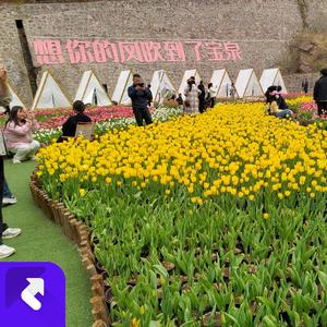 希望有个如你一般的人 (Demo)