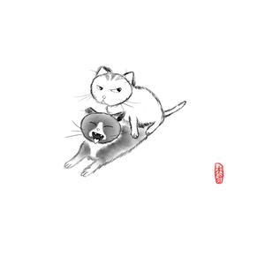 月光波动的海面，你心里下起了雪