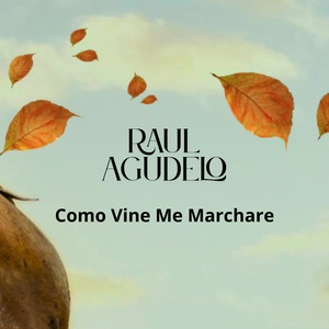 No He Podido Olvidarte