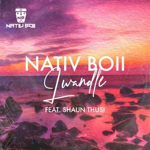 Lwandle (feat. Shaun Thusi)